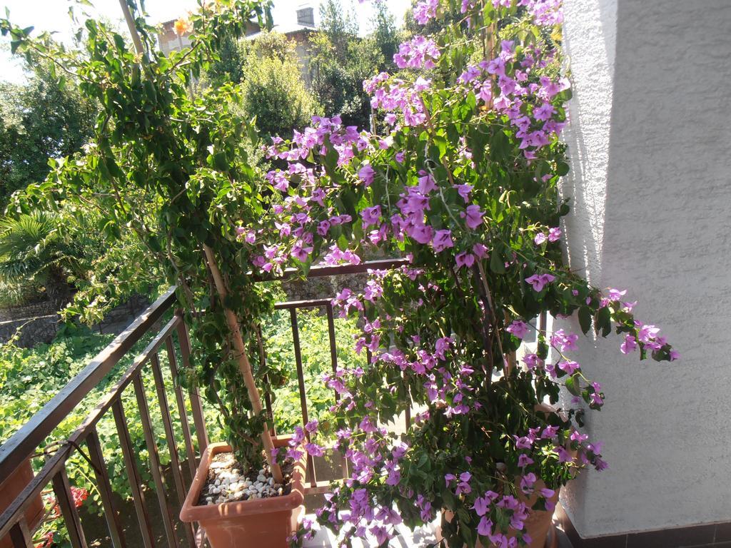 Guesthouse Villa Stanger Lovran Exterior photo
